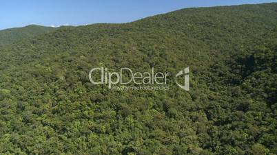 Aerial of Rainforest on mountain slope