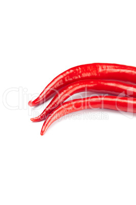 juicy red chili peppers isolated on white