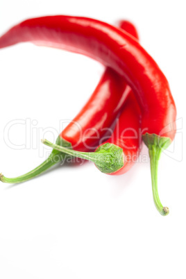 juicy red chili peppers isolated on white