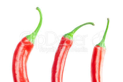 juicy red chili peppers isolated on white