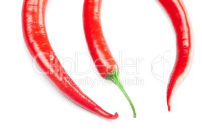 juicy red chili peppers isolated on white