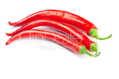 juicy red chili peppers isolated on white