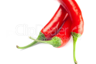 juicy red chili peppers isolated on white