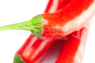 juicy red chili peppers isolated on white