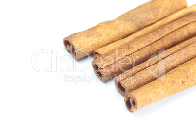 cinnamon sticks isolated on white