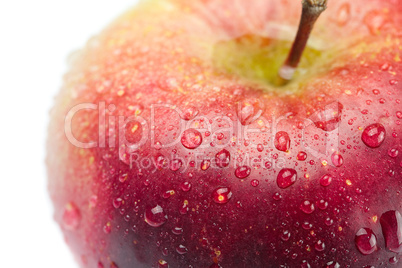 red apple with water drops isolated on white