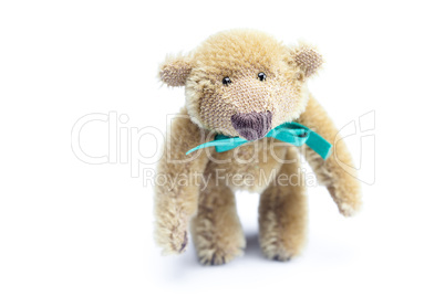 Teddy Bear with bow isolated on white