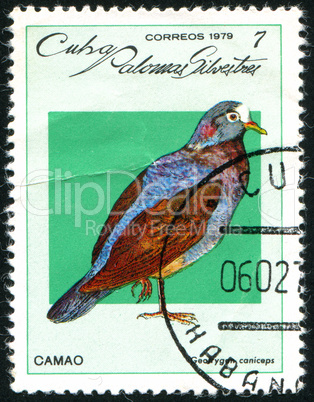 postage stamp