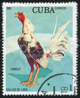 postage stamp