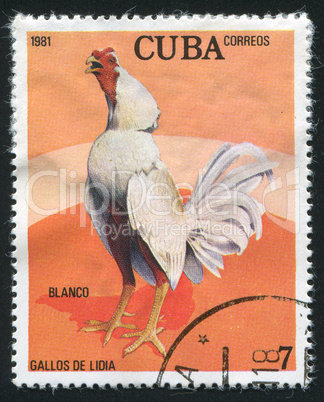 postage stamp