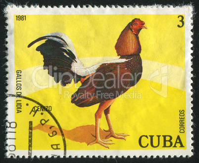 postage stamp