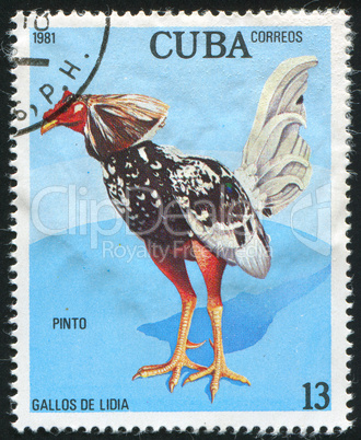 postage stamp