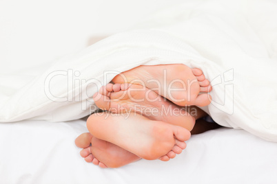 Stack of feet in a bed