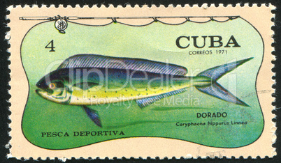 poststamp fish