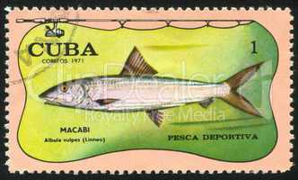 poststamp fish