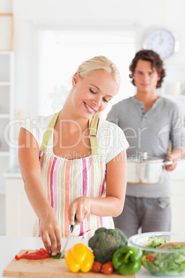 Portrait of a man bringing a boiler to her girlfriend