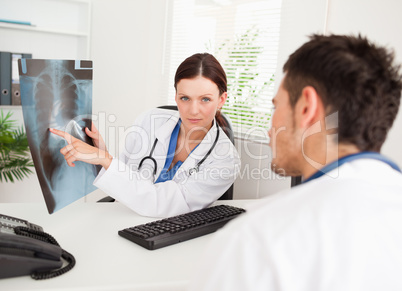 Female doctor showing x-ray to other doctor