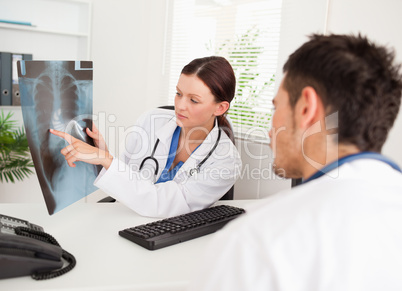 Female doctor showing x-ray to doctor