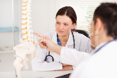 Doctor showing female doctor a spine