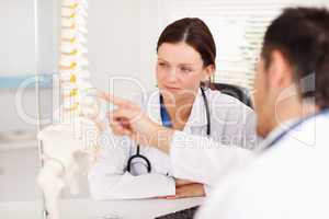 Doctor showing female doctor a spine