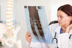 Female doctor looking at x-ray