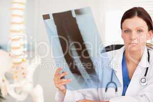 Female doctor holding x-ray