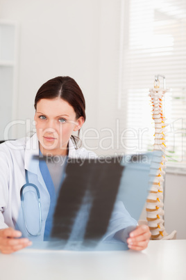 Female doctor holding x-ray