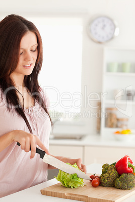 Portrait of a Cute woman cutting vegetables