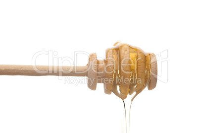 stick to honey is  isolated on white