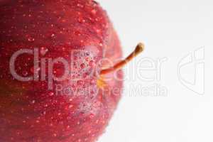 apple with water drops isolated on white