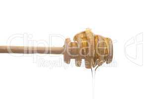 stick to honey is  isolated on white