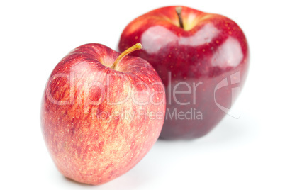 beautiful mellow  juicy apple isolated on white