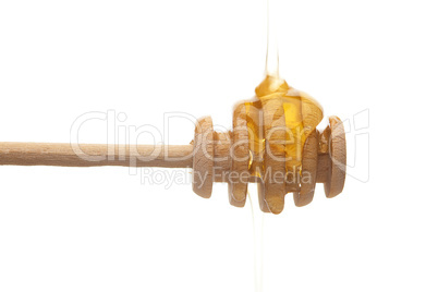 stick to honey is  isolated on white