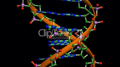 Rotation of 3D DNA.medicine,biology,science,research,medical,helix,biotechnology,molecule,molecular,