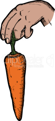 Dangling A Carrot