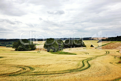 Landschaft im Sommer 657