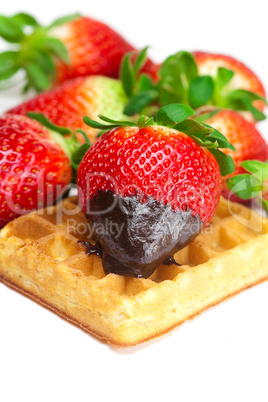 big juicy ripe strawberries in chocolate and waffles isolated on