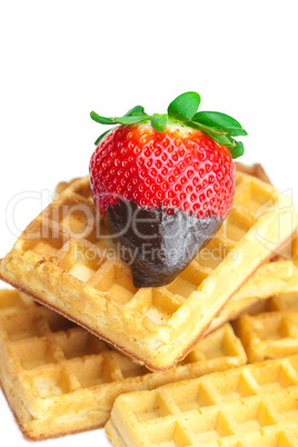 big juicy ripe strawberries in chocolate and waffles isolated on