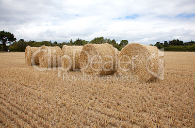 Strohballen