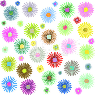 colored flowers  pattern isolated on white