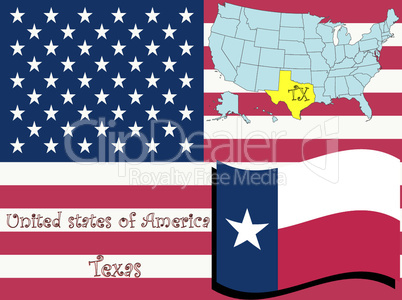 texas state illustration