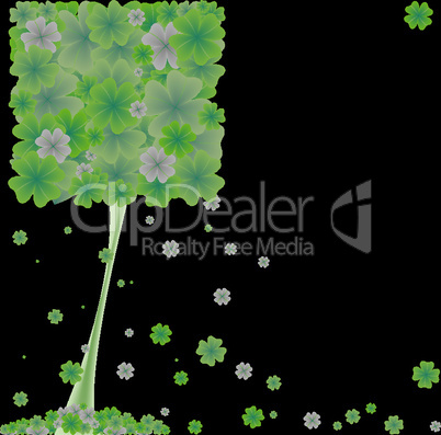 clover tree