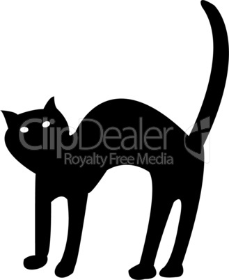 black cat isolated on white vector
