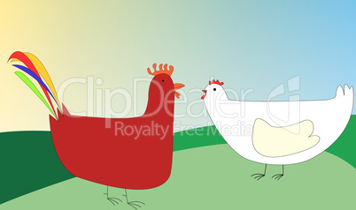 chicken and rooster