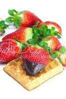 big juicy ripe strawberries in chocolate and waffles isolated on
