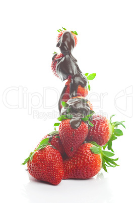 Mountain big juicy strawberries in chocolate isolated on white