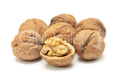 walnut