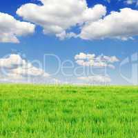 meadow