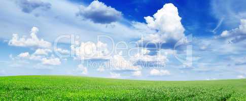 meadow