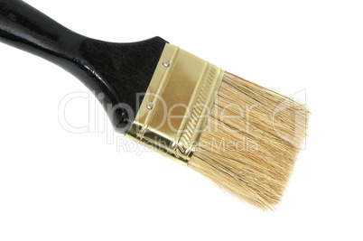 paintbrush